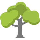 Lansdale Tree Removal