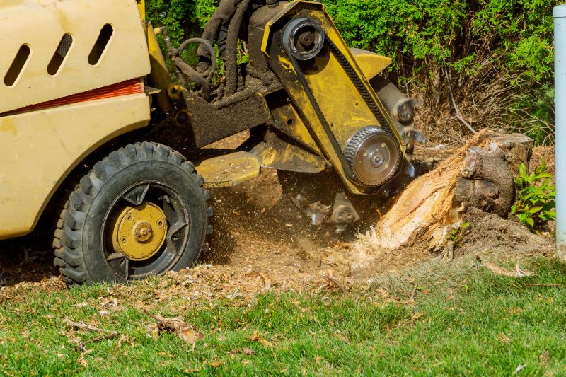 Stump Grinding Machines